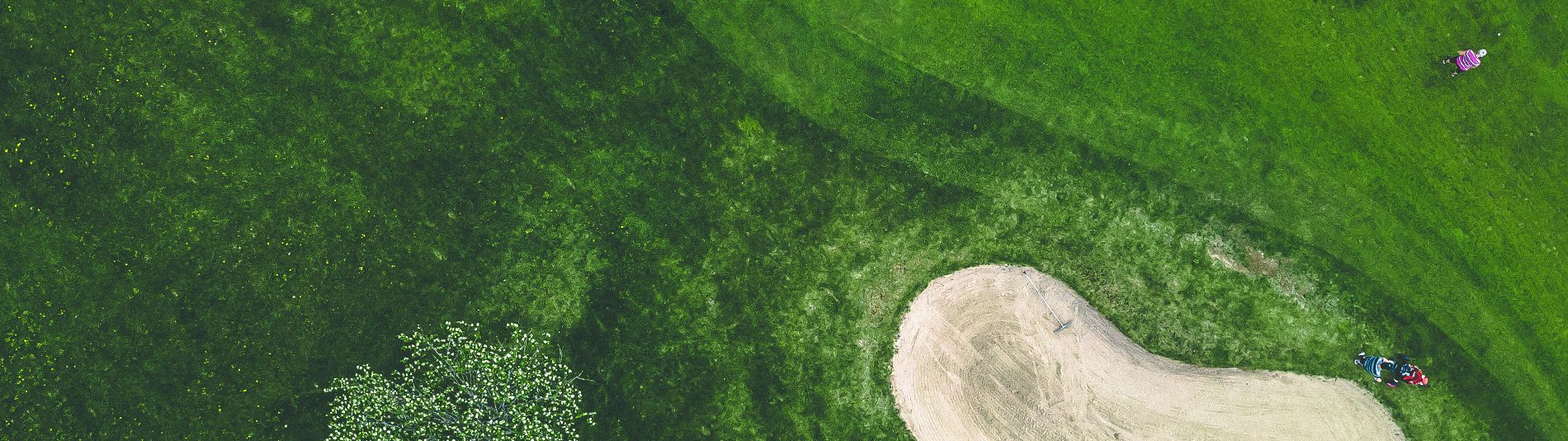 Bild: Envato Elements