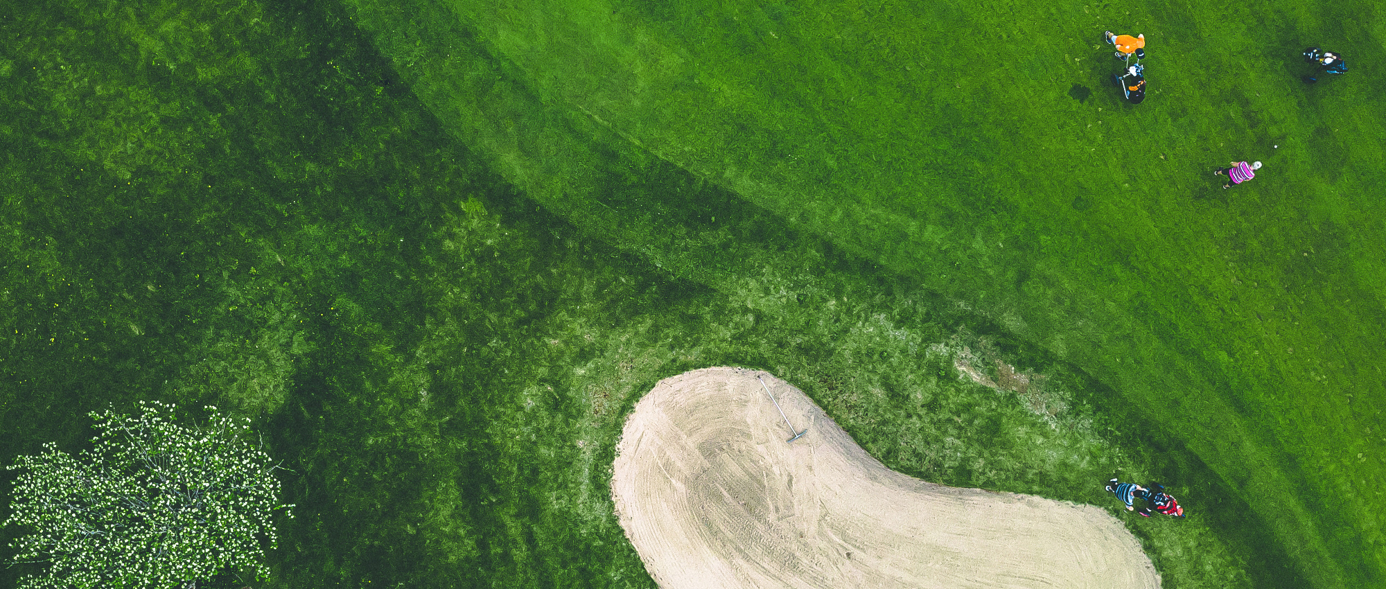 Bild: Envato Elements