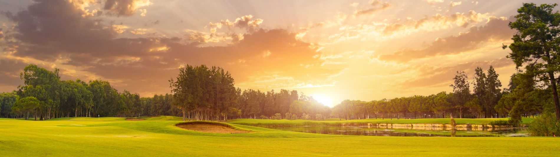 Bild: Shutterstock.com/Aleksey Mnogosmyslov