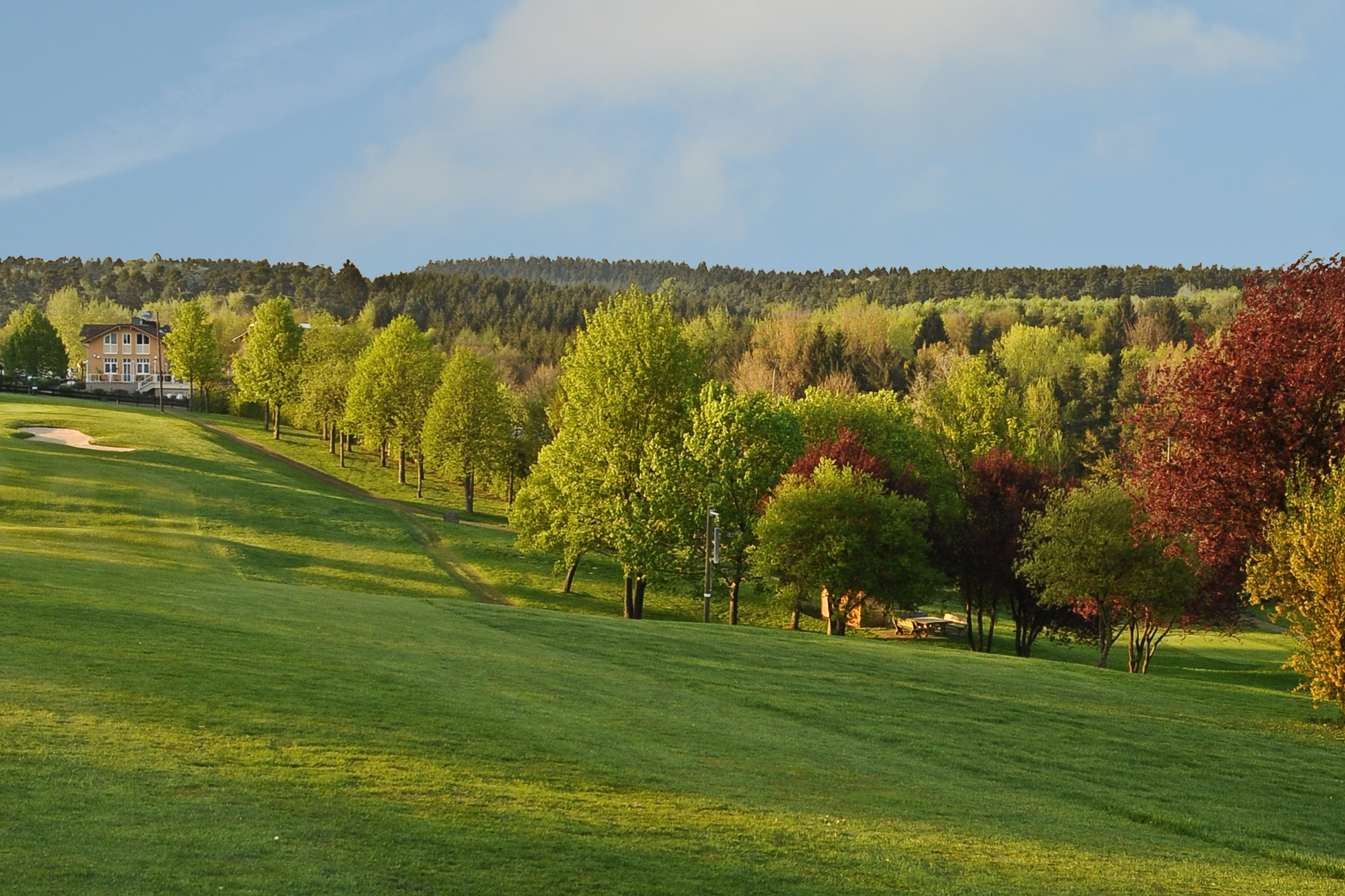 Hier fühlen sich Golfende wohl