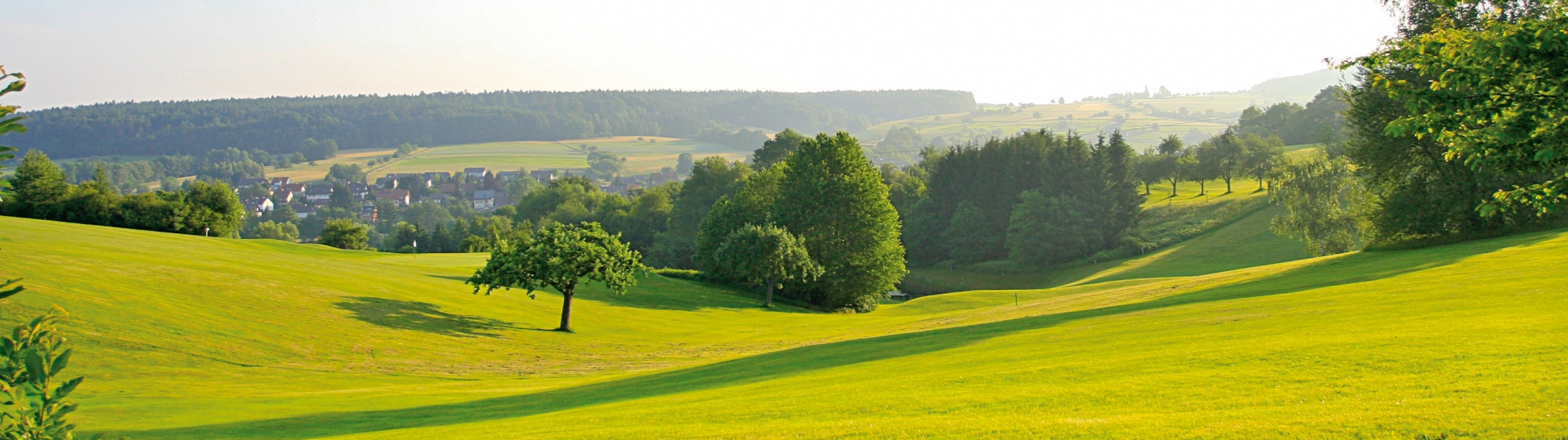 Viel Platz für eine Suchaktion Viel Platz für eine Suchaktion