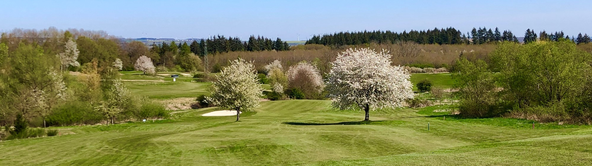Ab durch die Mitte Ab durch die Mitte