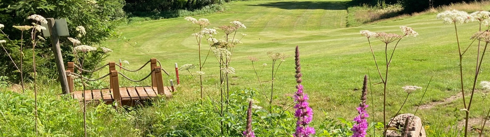 Hier blüht einem was ... nicht nur auf Bahn 2 Hier blüht einem was ... nicht nur auf Bahn 2