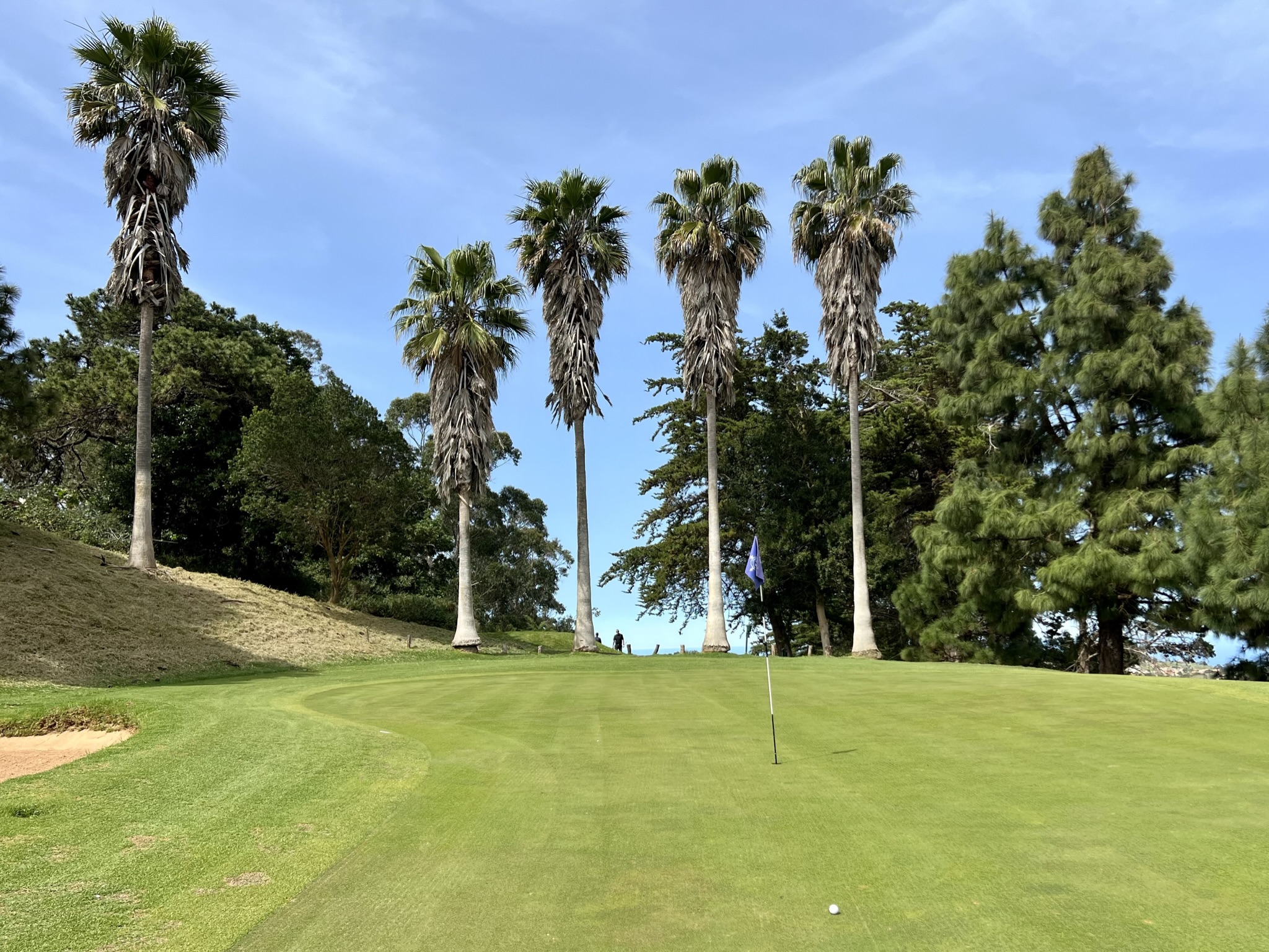 Die exotische Vegetation auf Teneriffa macht die Strapazen wett 	
