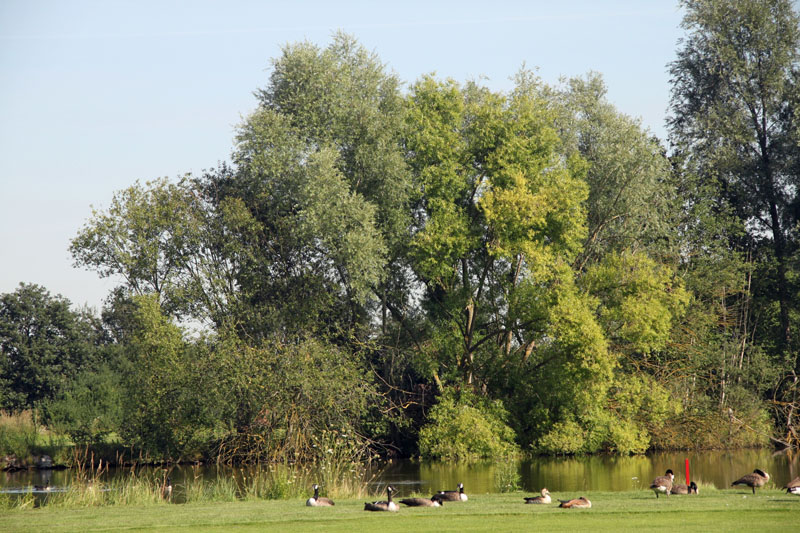 Nicht jeder findet ein Wasserloch bedrohlich