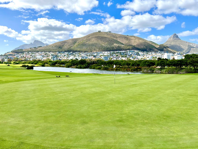 Blick auf die umliegenden Lions Head und Signal Hill 