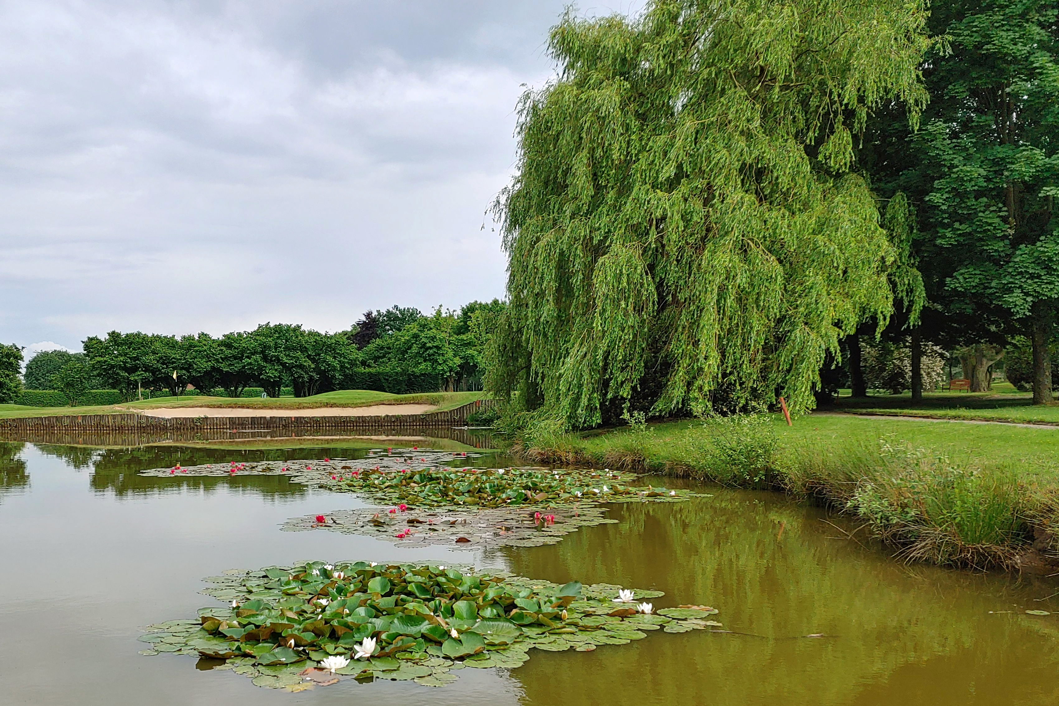 Willkommen im Grünen 