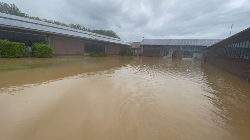 GC Schloss Miel: Vor den Hallen braucht man Gummistiefel