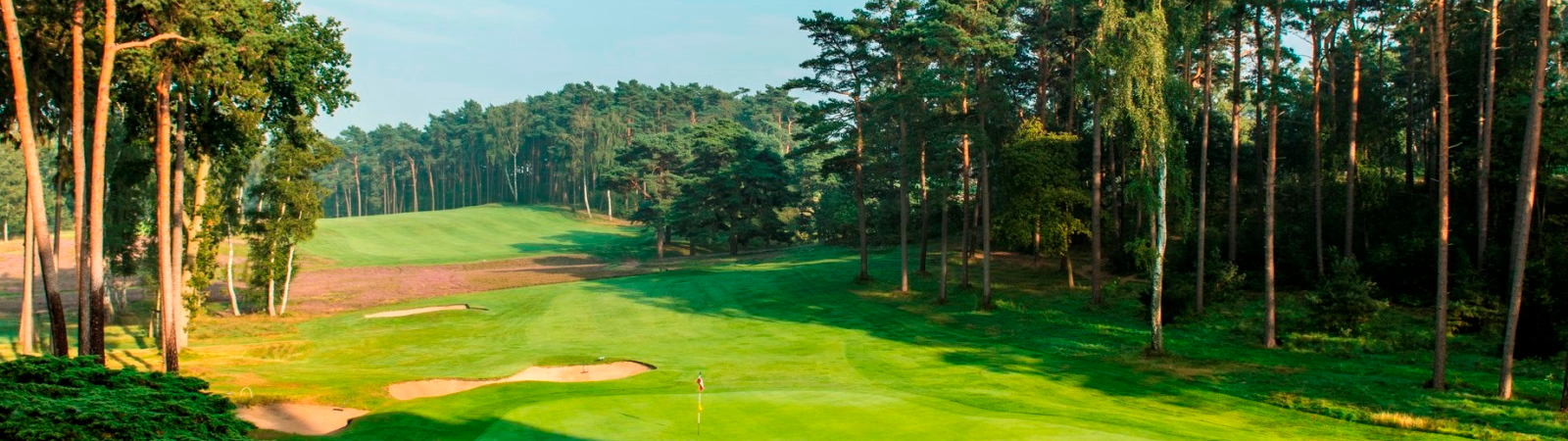 Perfekt für ein schönes Spiel: Falkenstein Perfekt für ein schönes Spiel: Falkenstein