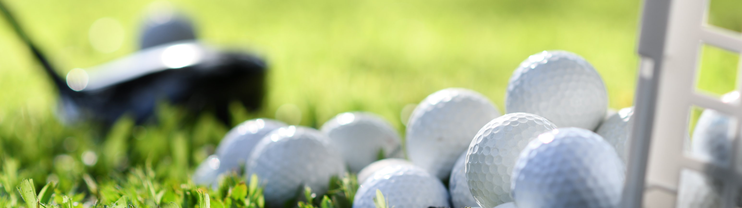 Schönes Spiel mit dem WHS Schönes Spiel mit dem WHS