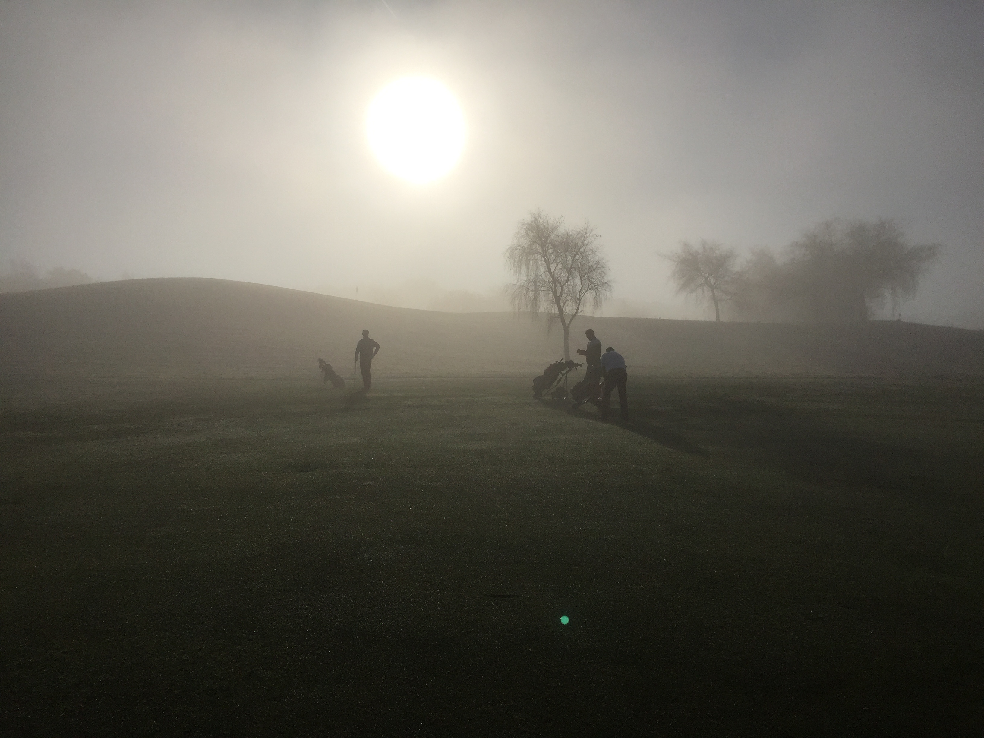 Nicht nur im Sommer schön: Golf