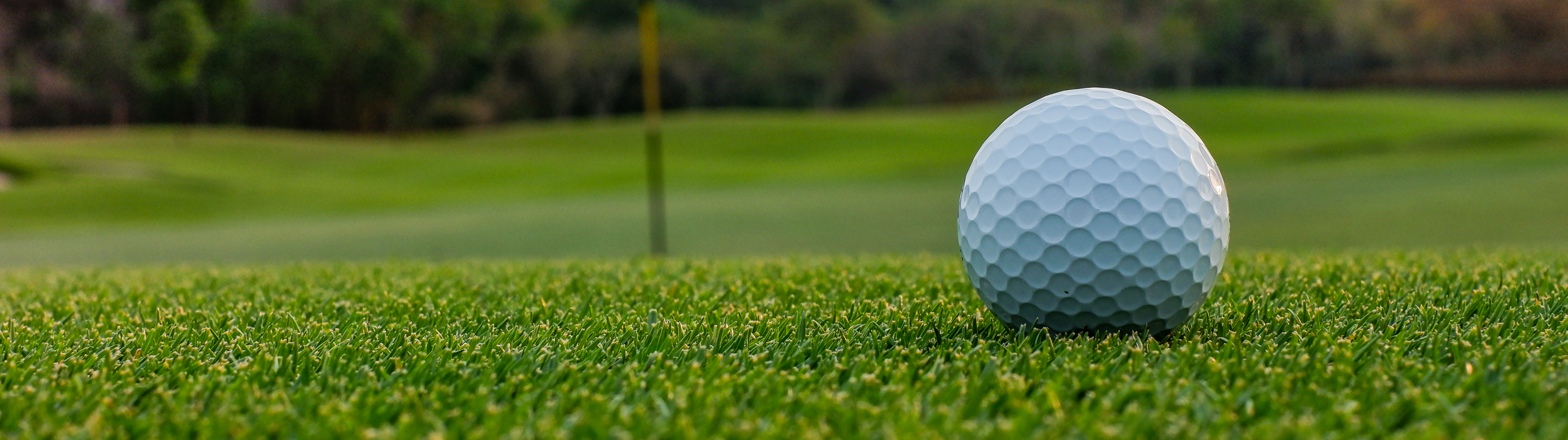 Grübchen - auch auf Bällen beliebt! Grübchen - auch auf Bällen beliebt!