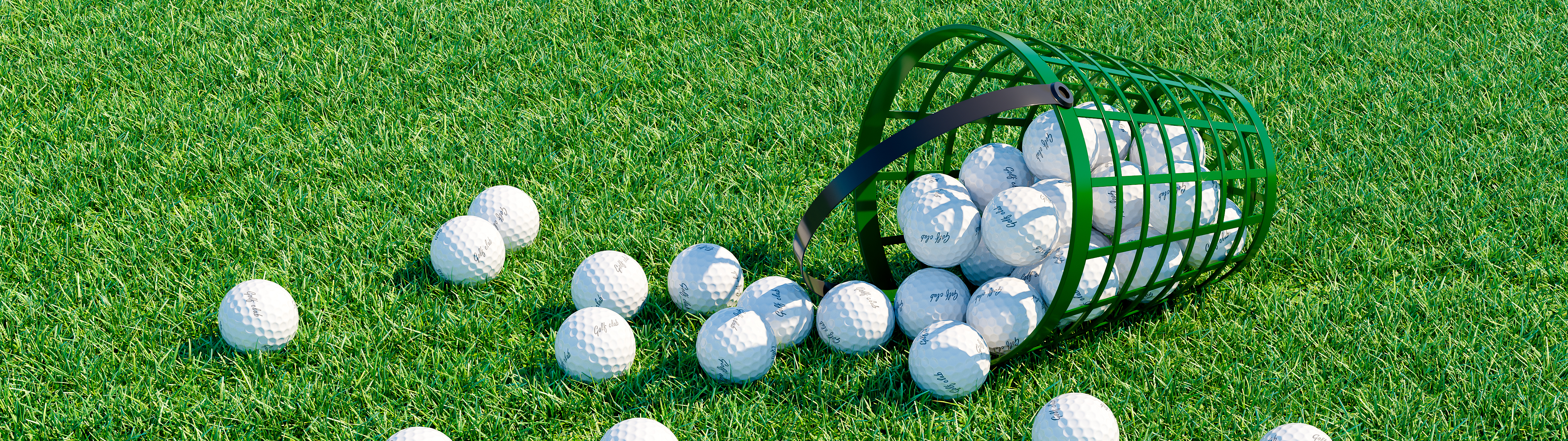 Husch, aus dem Körbchen! Husch, aus dem Körbchen!